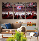 Carolina Hurricanes Ice Hockey Stadium Wall Art, Carolina