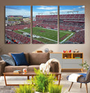 Florida Tampa Raymond James Stadium Wall Art Canvas Print -