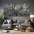 Majestic Angel Oak Tree Black and White Canvas Print – Multi