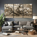 Sepia Framed Angel Oak Tree Wall Art - 3-Panel Canvas by MyGreatCanvas | Canvas Wall Art Prints | Photo Prints & Wall Decor