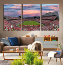 Carter-Finley Stadium Art Sunset Game Triple Canvas Wall Art