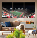 Houston Cougars Football Team Print - Houston TDECU Stadium