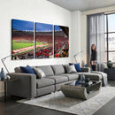 Wisconsin Badgers Football Team Print - Madison Camp Randall