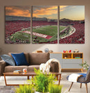 Camp Randall Stadium Wisconsin Badgers Large Wall Art Canvas