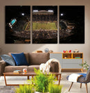 Wake Forest University Demon Deacons Canvas Printi, Football