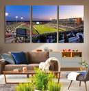 University of North Texas Mean Green Football Team Print - by MyGreatCanvas | Canvas Wall Art Prints | Photo Prints & Wall Decor