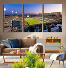 University of North Texas Mean Green Football Team Print - by MyGreatCanvas | Canvas Wall Art Prints | Photo Prints & Wall Decor