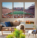 Framed Texas Memorial Stadium Canvas, University of Texas