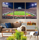 Wolfpack Football Team Print - Raleigh Carter-Finley Stadium