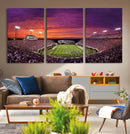 East Carolina University Pirates Football Print Canvas- by MyGreatCanvas | Canvas Wall Art Prints | Photo Prints & Wall Decor
