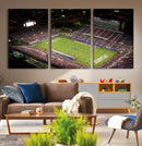 Florida Atlantic University Owls Canvas Print, Football Team by MyGreatCanvas | Canvas Wall Art Prints | Photo Prints & Wall Decor