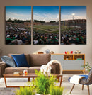 University of Charlotte 49ers Football Team Print - by MyGreatCanvas | Canvas Wall Art Prints | Photo Prints & Wall Decor