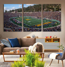 University of California Golden Bears Football Team Print - by MyGreatCanvas | Canvas Wall Art Prints | Photo Prints & Wall Decor