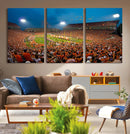 Clemson University Tigers Football Team Print - Clemson