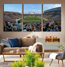 Michigan State Spartans Football Team Art Print - East