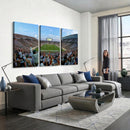 Michigan State Spartans Football Team Art Print - East