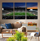 Michigan State Spartans Football Team Print - East Lansing
