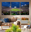 Michigan State Spartans Football Team Print - East Lansing