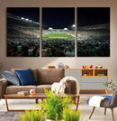 Framed Michigan State Spartans Football Team Print - East