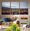 University of Minnesota Golden Gophers Football Team Print - by MyGreatCanvas | Canvas Wall Art Prints | Photo Prints & Wall Decor