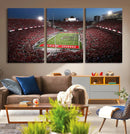 Ohio State University Buckeyes Football Team Print -