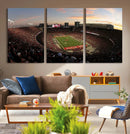 Ohio State University Buckeyes Football Team Print -