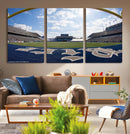 Rice University Owls Football Team Print - Houston Rice