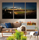 Ball State Cardinals Football Team Print - Muncie Scheumann
