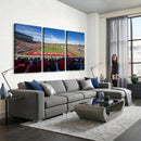 Ball State Cardinals Football Team Print - Muncie Scheumann