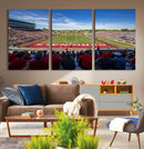 Ball State Cardinals Football Team Print - Muncie Scheumann