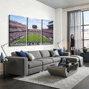 TCU Horned Frogs Football Team Print - Fort Worth Amon G.