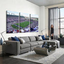 The Texas Christian University TCU Horned Frogs Football
