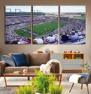 The Texas Christian University TCU Horned Frogs Football