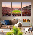 The University of Southern California USC Trojans Football by MyGreatCanvas | Canvas Wall Art Prints | Photo Prints & Wall Decor