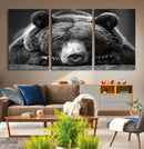 Resting Grizzly 399 Bear Canvas Print | Ready to Hang Wall