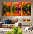 Forest Reflection Art | Autumn Forest Reflection Wall Art | by MyGreatCanvas | Canvas Wall Art Prints | Photo Prints & Wall Decor
