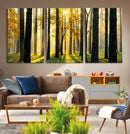Sunlit Forest Wall Art Canvas Print – Large Framed Woodland