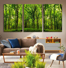 Lush Green Forest Canvas Print | 3-Panel Forest Wall Art | by MyGreatCanvas | Canvas Wall Art Prints | Photo Prints & Wall Decor