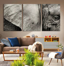 Elephant Wall Art Canvas Print