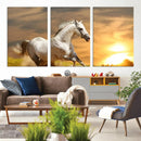 Large Wall Art Galloping White Horse at Sunset Canvas Print