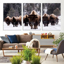 Bison Wall Art Canvas Print- Bison Herd Canvas Wall Art –