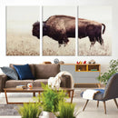 Bison in Field Wall Art Canvas Print For Farmhouse Barn