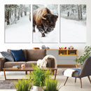 Bison Wall Art Canvas Print For Farmhouse, Animal Canvas