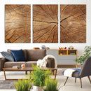 Tree Ring Canvas Art, Rustic Wood Grain Wall Art, Tree Slice