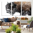 American Bison Wall Art Print – Majestic Buffalo Canvas