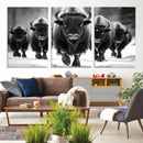 American Bison Art | Buffalo Herd Wall Art Canvas Print, BW