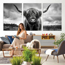 Scottish Cow Wall Art Canvas Print | Longhorn Wall Art |