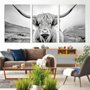 Scottish Cow Wall Art Canvas Print