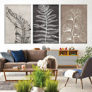 Minimalist Botanical Wall Art Canvas Print, Framed and Ready