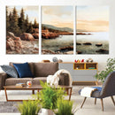 Serene Coastal View of Acadia National Park Wall Art -
